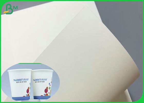 SGS Certificated 230g 260g PE Coated Cupstock Base Paper 850mm Roll