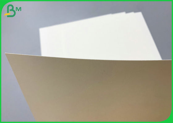 SGS Certificated 230g 260g PE Coated Cupstock Base Paper 850mm Roll