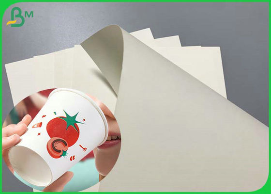 210g White Printable 650mm Cupstock Paper For Disposable paper cup