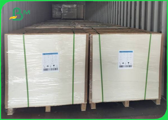 61 x 86cm Uncoated Woodfree Paper 65gsm 70gsm Offest Printing Paper