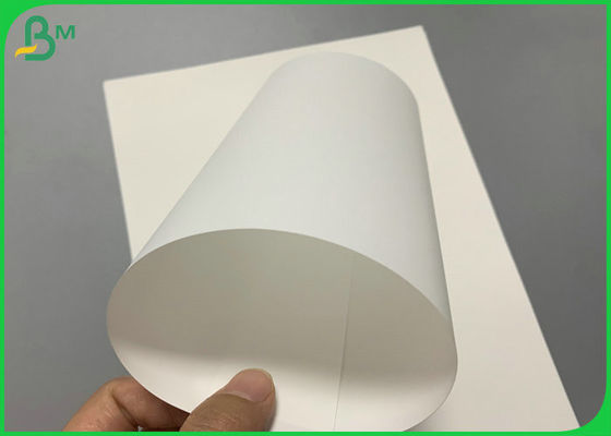 180um 250um Dustproof Glossy Matt PP Synthetic Paper For Labels Inkjet Printing