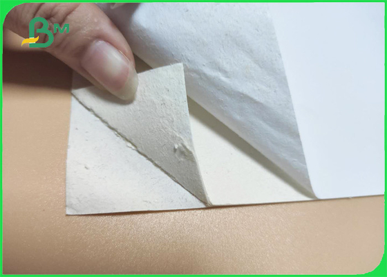 High Bulk White One Side Coated Food Pack Paperboard 350gsm 0.61mm