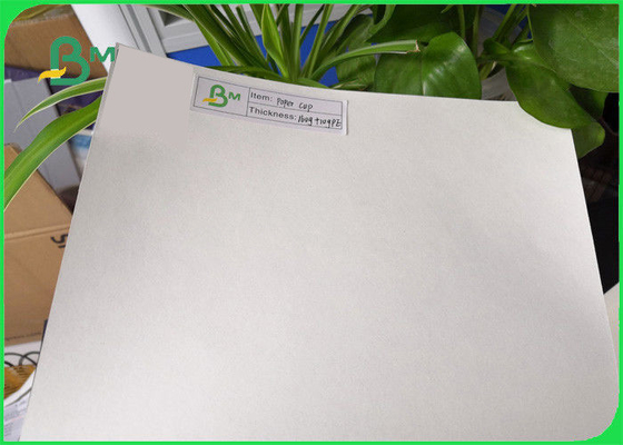 Single PE Coated Paper Sheets Customized Disposable 15g For Hot Coffee Paper Cup