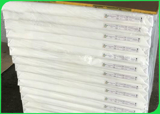 Single PE Coated Paper Sheets Customized Disposable 15g For Hot Coffee Paper Cup