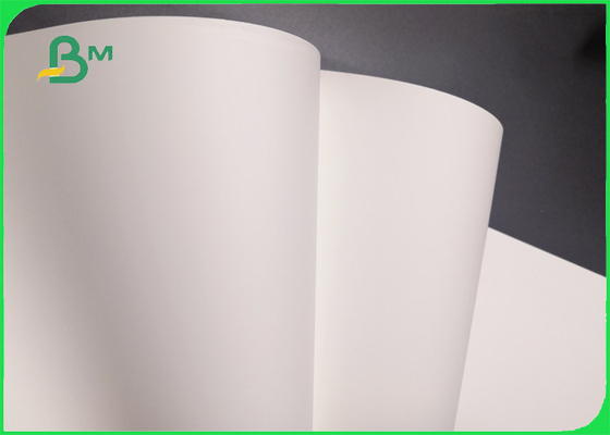 190mic Matte Polypropylene PP Paper For Poster Non - Tearable 500 * 800mm