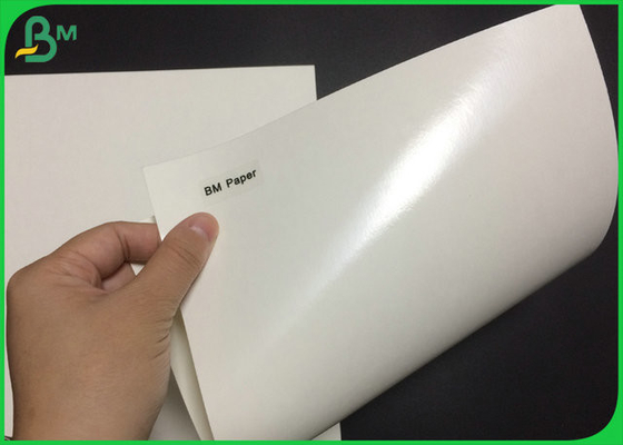 ECO 210 230 Grammages Cup Base Paper Board Coated Polyethylene For Paper Cup