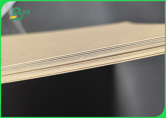 Kraft Compostable Paper Coated Kraft Medium Brown Food Grade Paper 270gsm