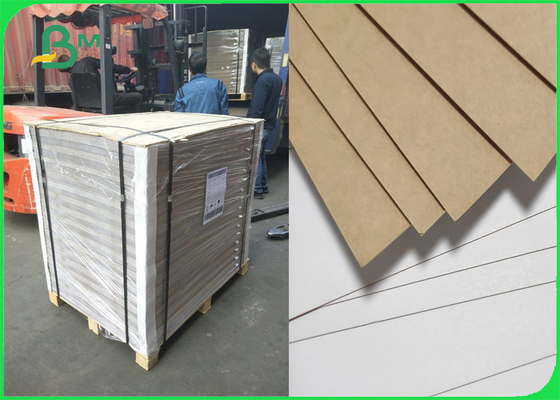 Kraft Compostable Paper Coated Kraft Medium Brown Food Grade Paper 270gsm