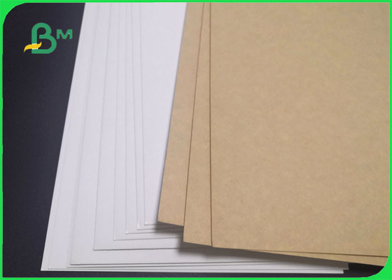 325gsm 1 Side White Clay Coated Kraft Back Paper For Takeout Box 65 x 96cm