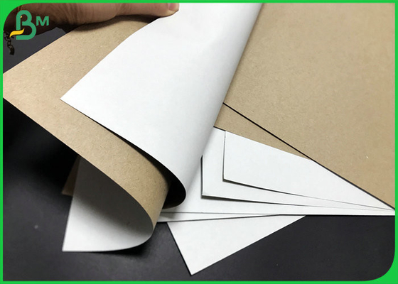 Recyclable kraft 170g 200g White Surface test liner board for Packaging Carton