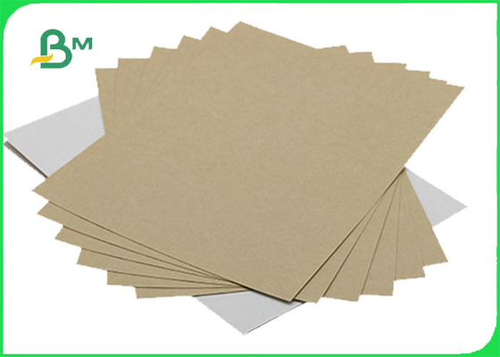 140g 170g One Side White Coated Test Liner Paper Roll For Pizza Box 1400MM