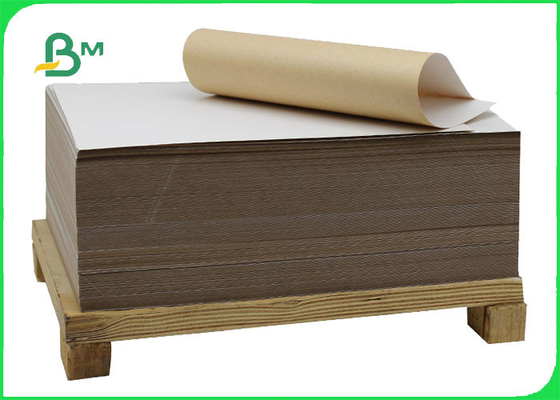 140g 170g One Side White Coated Test Liner Paper Roll For Pizza Box 1400MM