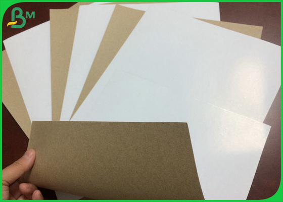 High tear strength  940 x 1280mm 400gsm Kraft Back Duplex Board For Beer Carton Making