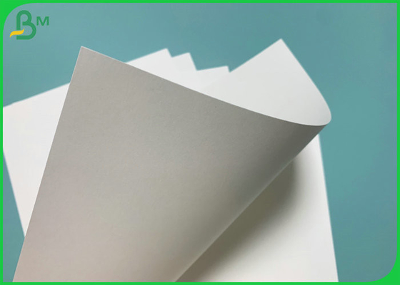 Printable 190gsm+18PE PE Coated Paper To Produce Cup Fan Food Grade