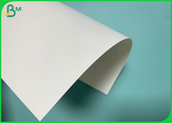 Food Grade High Stiffness 190gsm+18PE PE Coated Paper To Produce Cup Fan