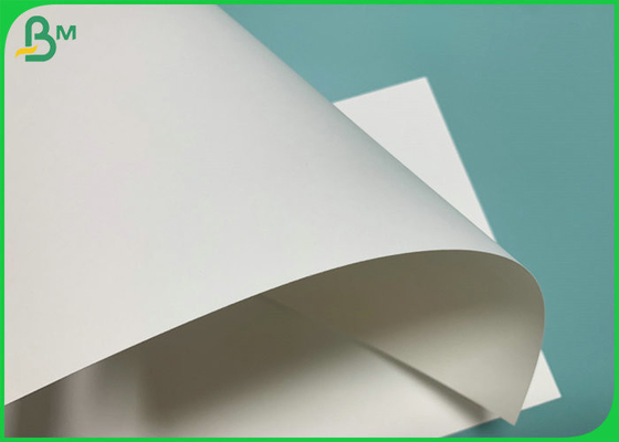 260gsm 280gsm 740mm Roll Cup Stock 1 Side PE Paper For Making Paper Cups