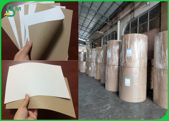 Recycled Pulp Jumbol Roll 170gsm 200gsm C1S Grey Back Paper For Beer Carton