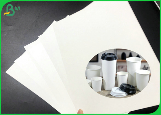 Jumbo Rolls 200gsm + 15PE Coated White Paper For Paper Cups 700mm Width