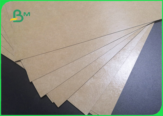 Food Grade 250gsm+ 15g PE Coated Lunch Box Paper Greaseproof 850mm 895mm