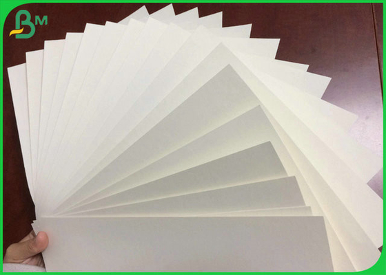 860MM 920MM Polyethylene Coated Cup Paper 160G+10G PE For Disposable paper cup