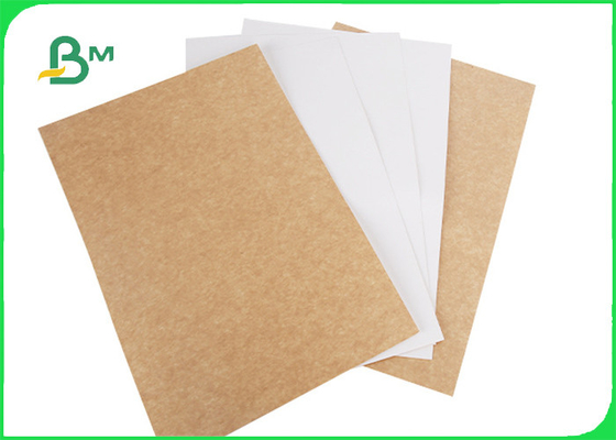 200gsm 250gsm Compostable Kraft Paper For Food Tray 790mm 890mm Signle Coated