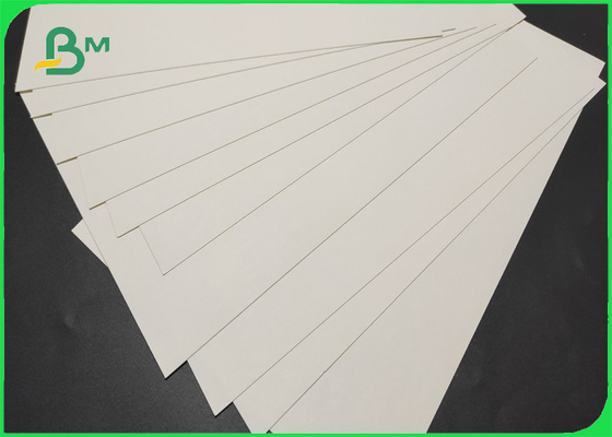 Polyboard 1 Side PE Coated For Frozen Food Grammage 250 & 300 Gsm
