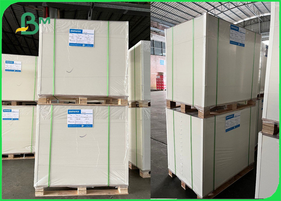 Polyboard 1 Side PE Coated For Frozen Food Grammage 250 & 300 Gsm