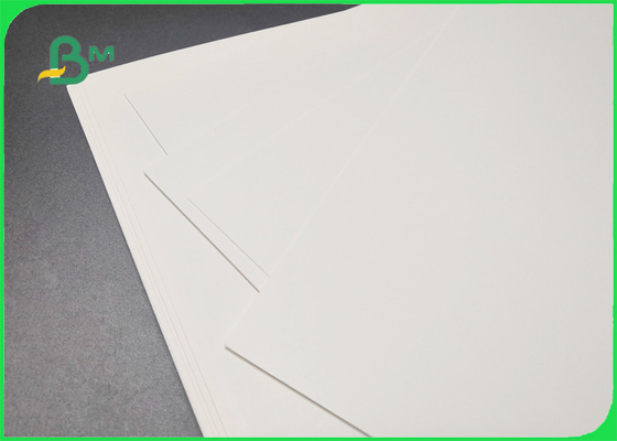 270gsm 350gsm C1S Coated FBB Board For Frozen Food Packaging 720 x 1020mm