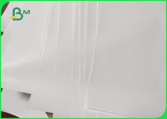 55gsm Thermal Coated ATM Receipt Paper Jumbo Roll Customized Size