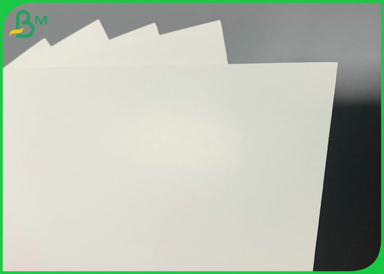 790 x 1090mm Food Safe Ivory Board 350gsm 325gsm For Offset Printing