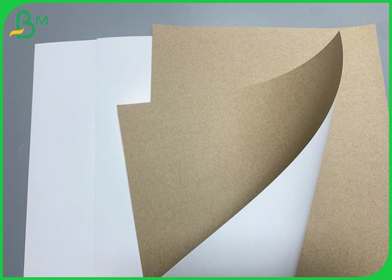 350gsm Food Grade White Coated Kraft Back Paper Wood Pulp Food Box Paper