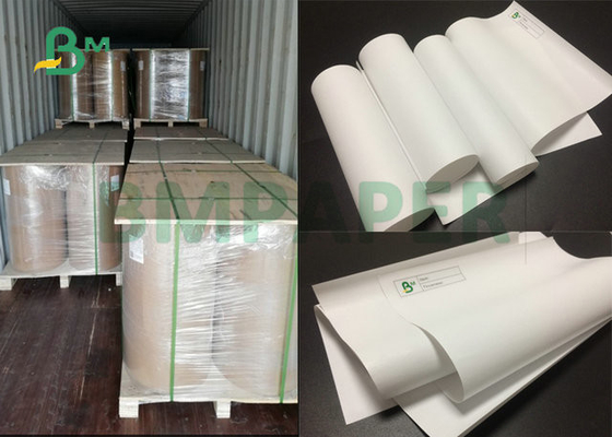 410mm 880mm Large Format Width Thermal Paper Roll 48gr 55gr For POS Paper