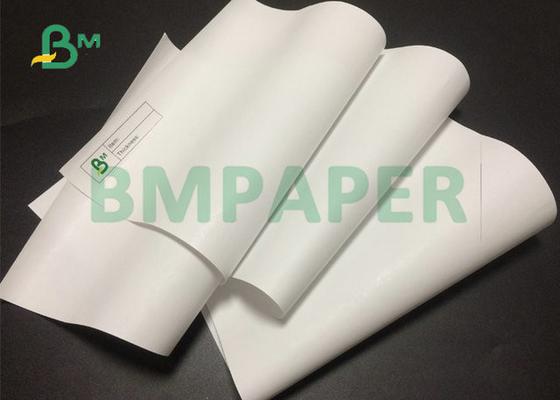 410mm 880mm Large Format Width Thermal Paper Roll 48gr 55gr For POS Paper