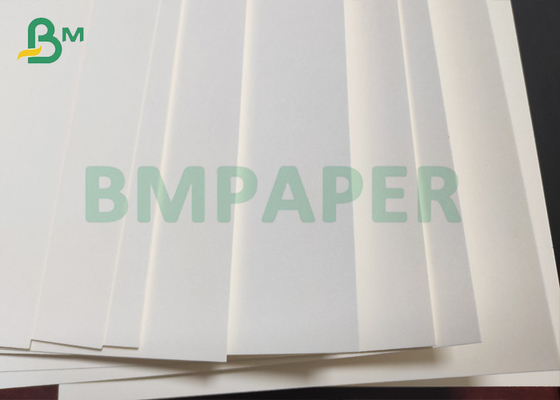 Grade AAA Single PE Coated Cupstock Paper 300gsm + PE 20g Food Safe