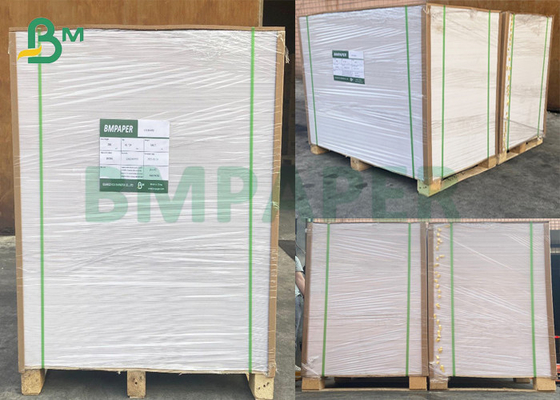 Grade AAA Single PE Coated Cupstock Paper 300gsm + PE 20g Food Safe