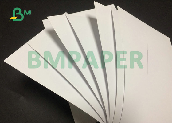 90% Brightness 12PT 14PT C2s Cover Paper In 28 x 40inch and 24 x 36inch