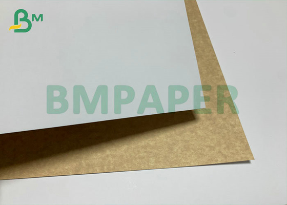 Food Grade 14pt 16pt 235gsm 255gsm 106cm White Top Kraft Bakc Board