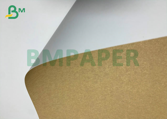 Food Grade 14pt 16pt 235gsm 255gsm 106cm White Top Kraft Bakc Board