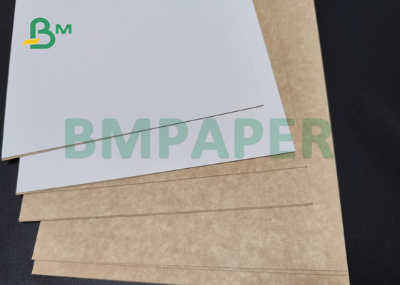 325gsm 350gsm White Top Kraft Back Paper For Food Grade Package 72cm 76cm