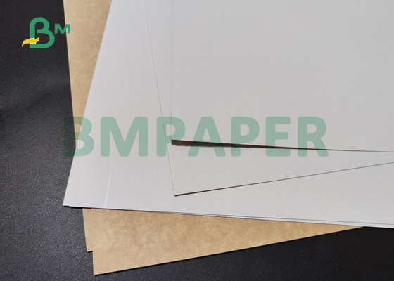 325gsm 350gsm White Top Kraft Back Paper For Food Grade Package 72cm 76cm