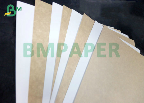 250GSM 300GSM 350GSM Virgin Pulp Clay Coated Kraft Back For Food Box