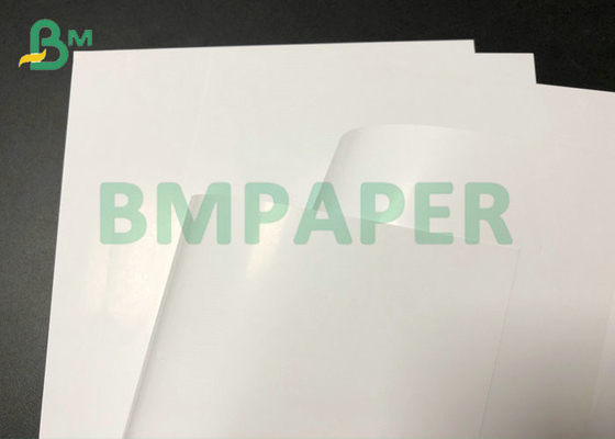 Glossy 115gsm 150gsm Art Paper C2S For Poster Printing 787mm Roll