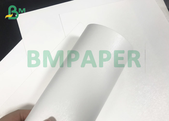 250gsm 300gsm + 15PE C1S C2S White carton rolls For Disposable Paper Cups