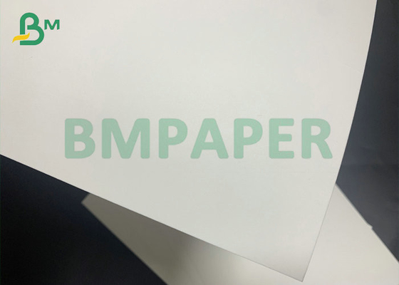 750mm 235+15PE Bleached Board With Polyethylene For High End Paper Cup