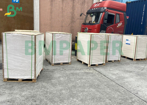 Bleached Coated SBS FBB Board 16pt 18pt Carton Board