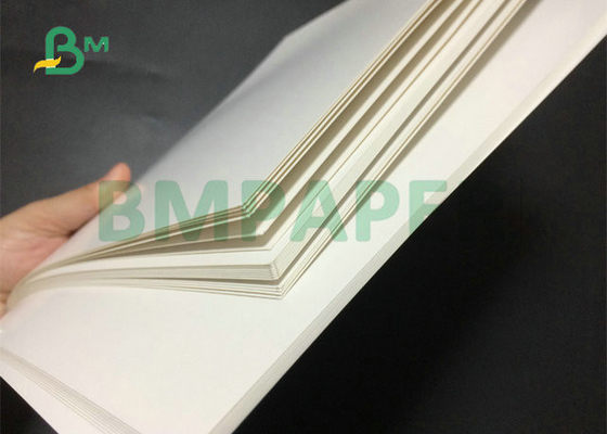 210 250 270 300 Grammes White C1S Coated Board Sheet For Large Format Printing