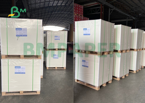 240g 250g One Side PE Coated Paper For Paper Cup Recyclable Sheet Packing