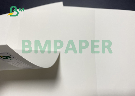 250g + 15g PE Safe Cupstock Board For Paper Cup Bleached 365 * 670mm