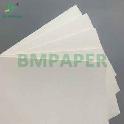 18g PE Coated Waterproof 210gsm Cup Stock Paper For Making Coffee Cup