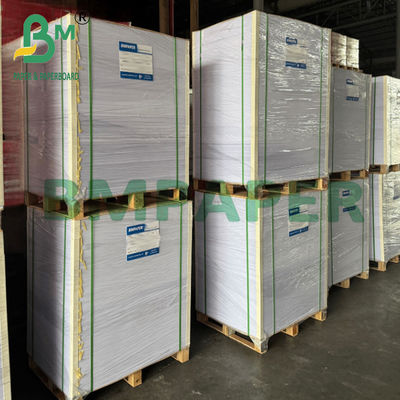Greaseproof Laminated White Kraft Paper 75gsm for Baking Food 500x600mm